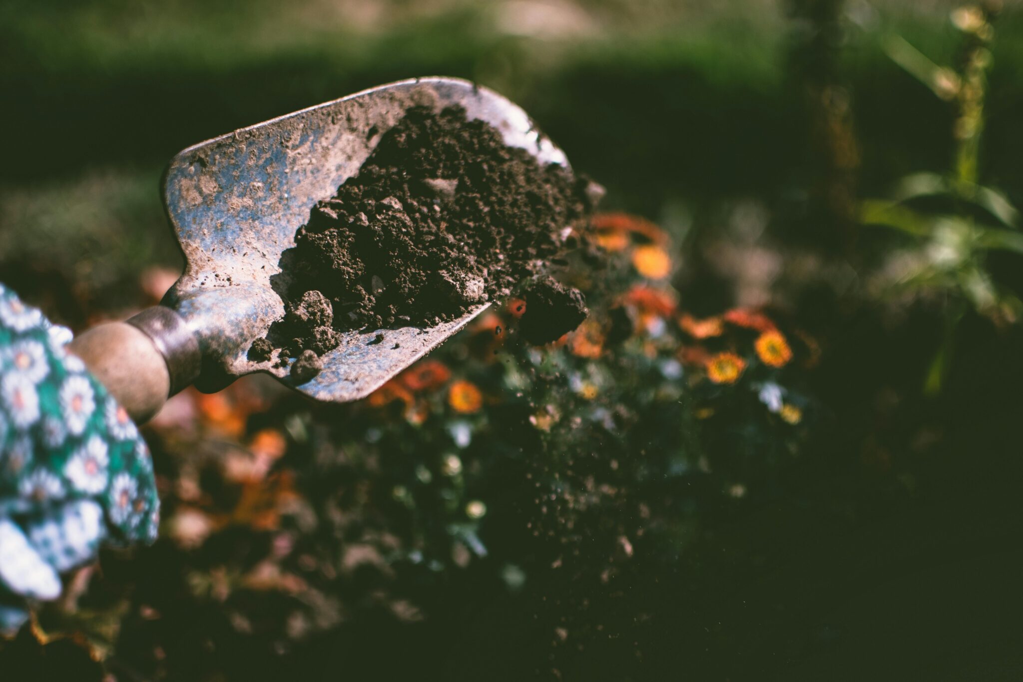 Soil Types & Testing: How to Choose the Best Land for Growing Food