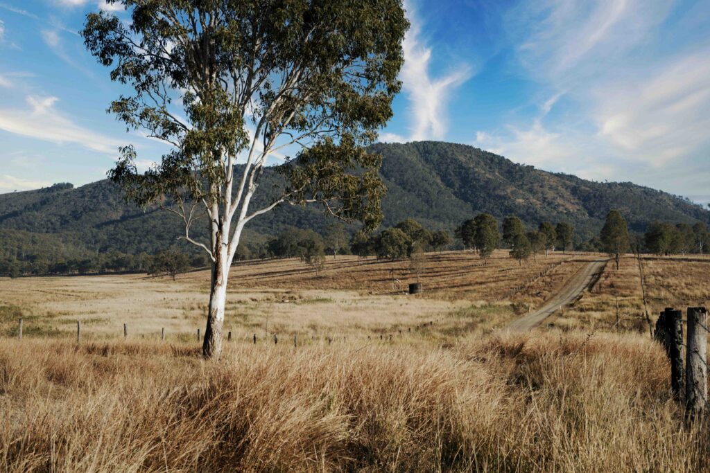 Best Farm Land and Acreage Regions to Buy Land in Queensland 2025