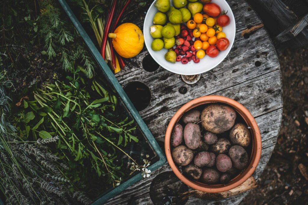 The Best Vegetables to Grow Year-Round in Australia