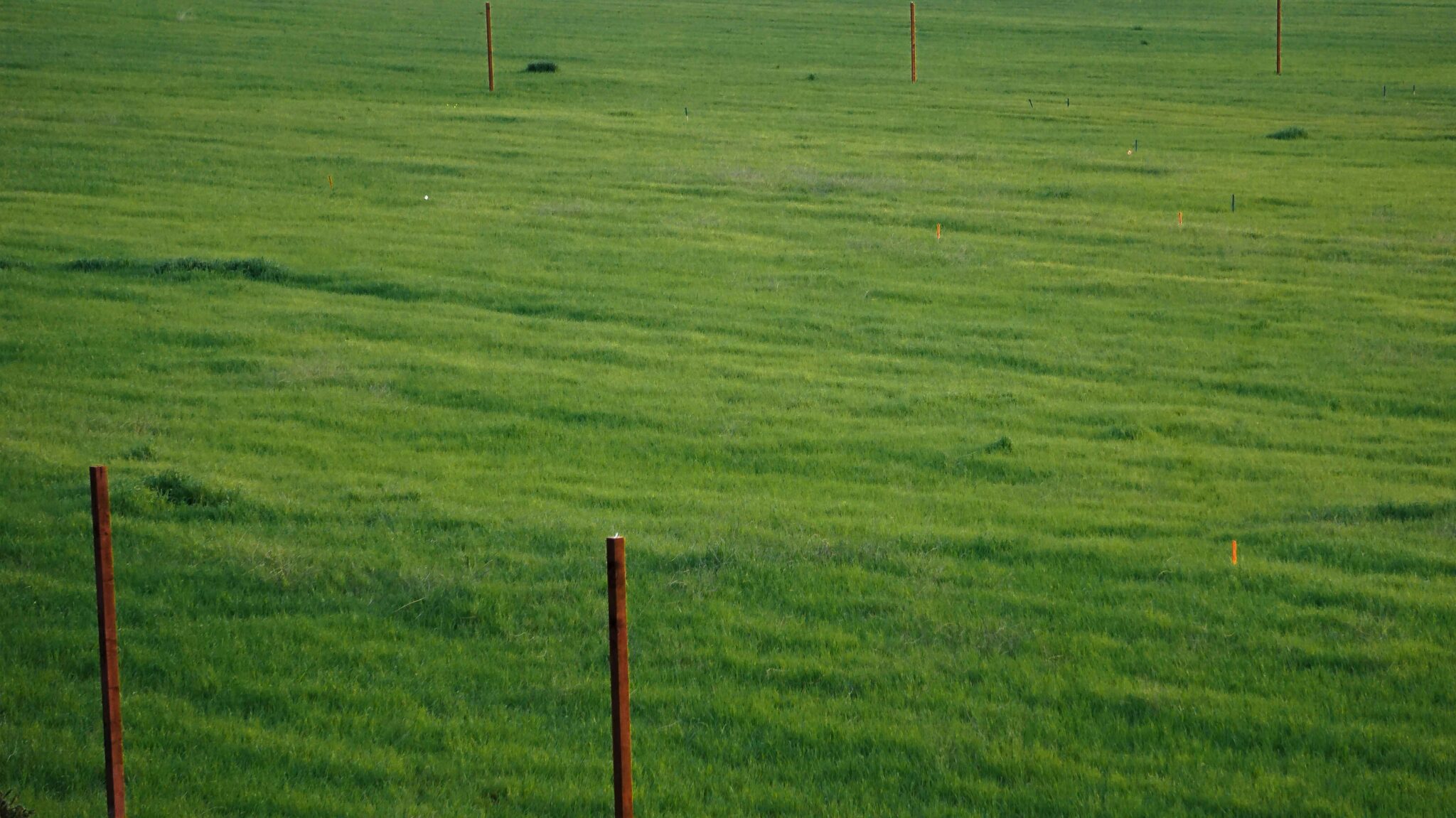 How to Establish Pasture Grass on a Small Farm | Grainshed