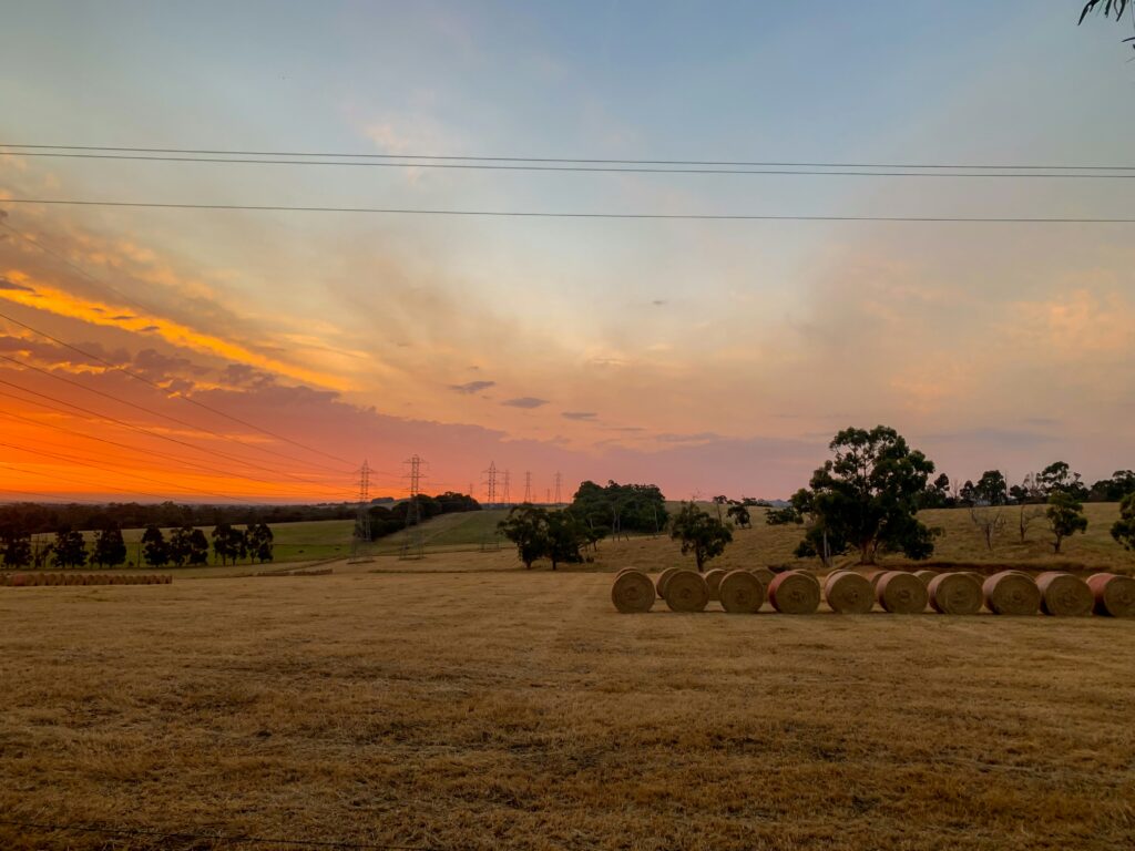 How to Establish Pasture Grass from Scratch on a Small Farm