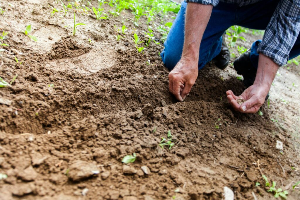 A Practical 12-Month Soil Improvement Plan for Australian Growers