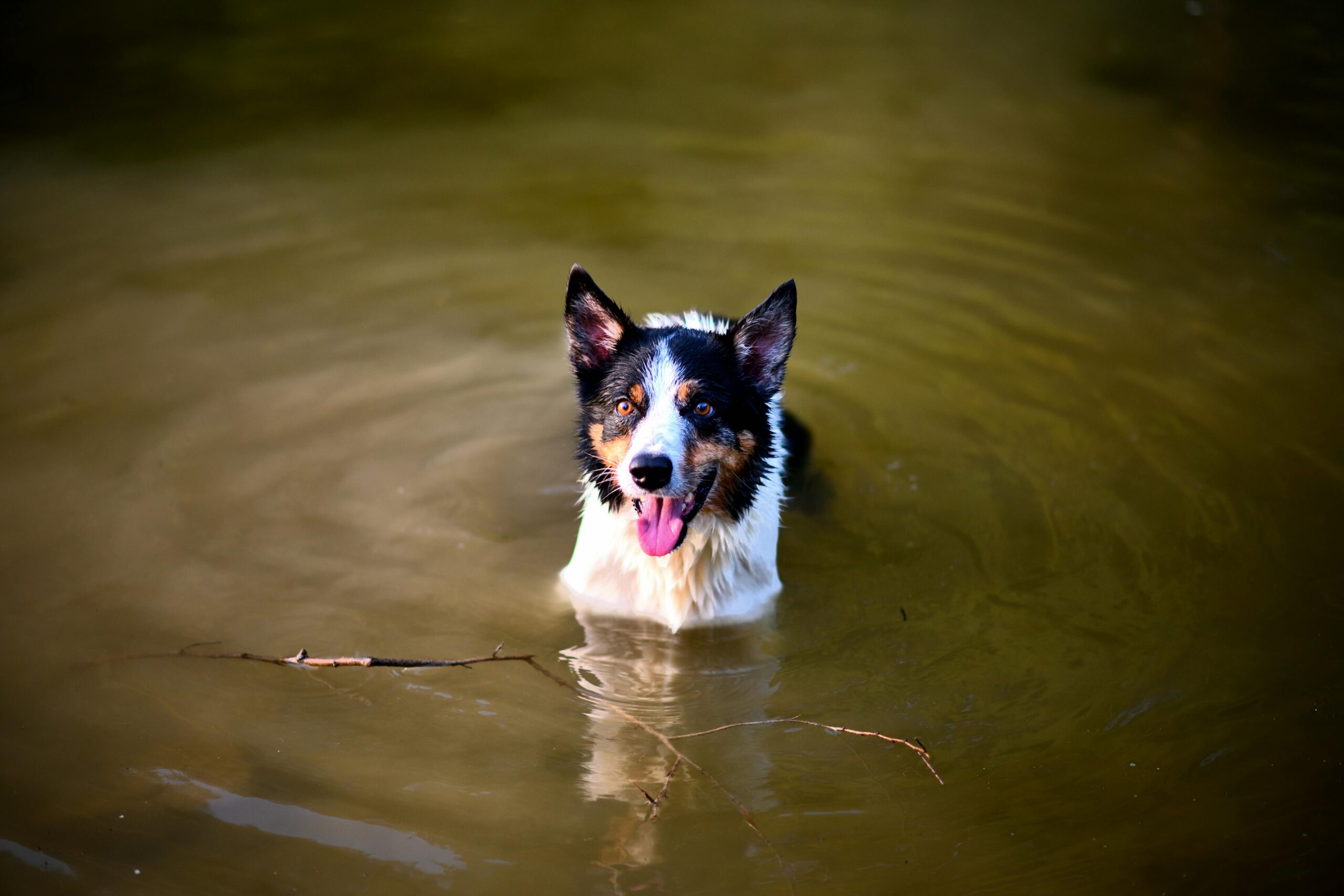 Image showcasing 6 Best Off-Grid Power Systems for Apartments That Maximize Small Spaces