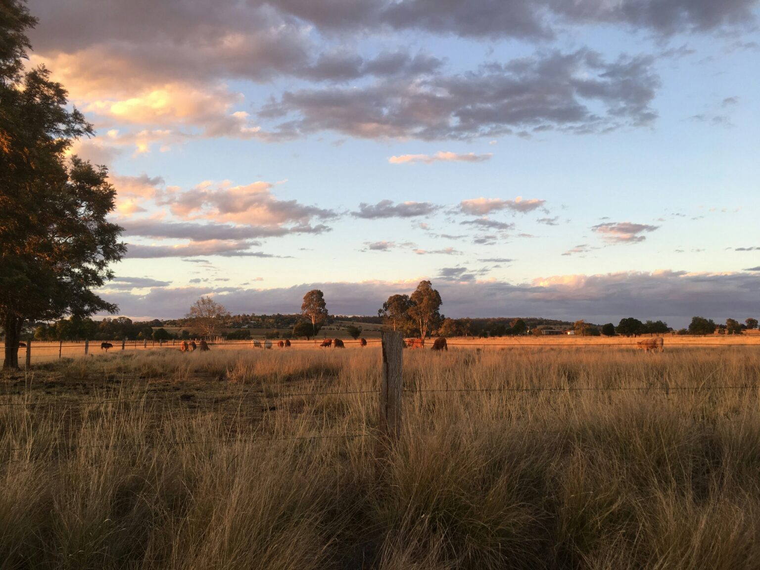 Fence Post Spacing Guide Australia By Fence Type